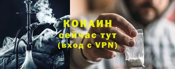 индика Аркадак