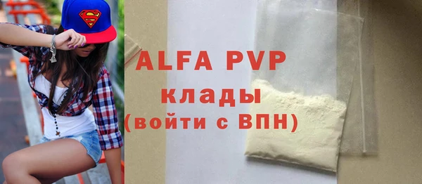 индика Аркадак