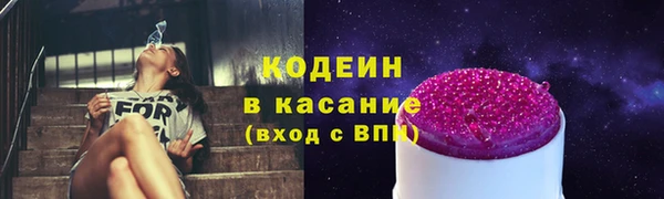 индика Аркадак