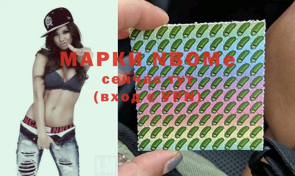индика Аркадак