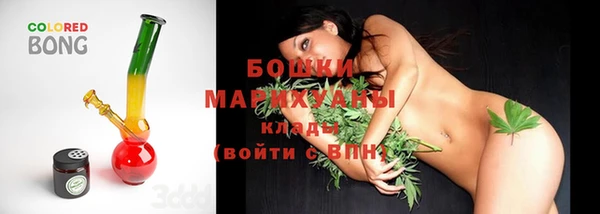 индика Аркадак