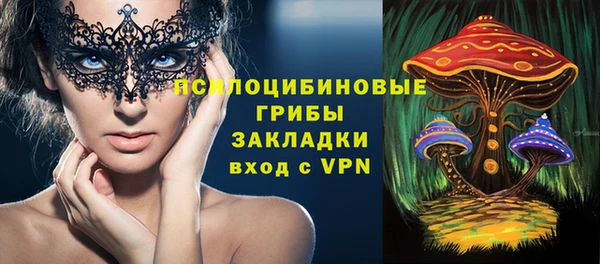 сатива Армянск
